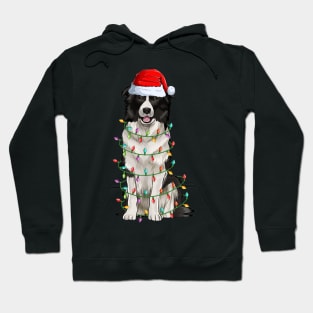 Border Collie Christmas Lights Xmas Dog Lover Hoodie